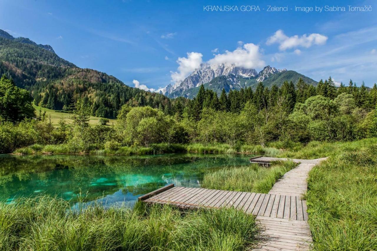 Chalet Via Mons Mojstrana Luaran gambar